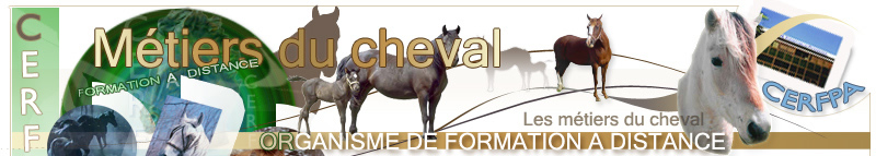 cheval, formation au Cerfpa - Centre de formation métiers du cheval - Formations à distance - métiers du cheval et formation cerfpa. http://www.metiers-du-cheval.net