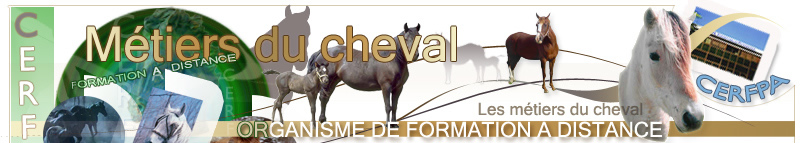 cheval, formation au Cerfpa - Centre de formation métiers du cheval - Formations à distance - métiers du cheval et formation cerfpa. http://www.metiers-du-cheval.net