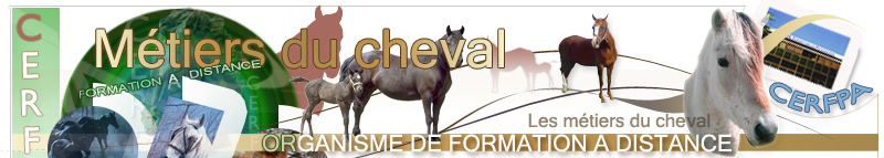 cheval, formation au Cerfpa - Centre de formation métiers du cheval - Formations à distance - métiers du cheval et formation cerfpa. http://www.metiers-du-cheval.net